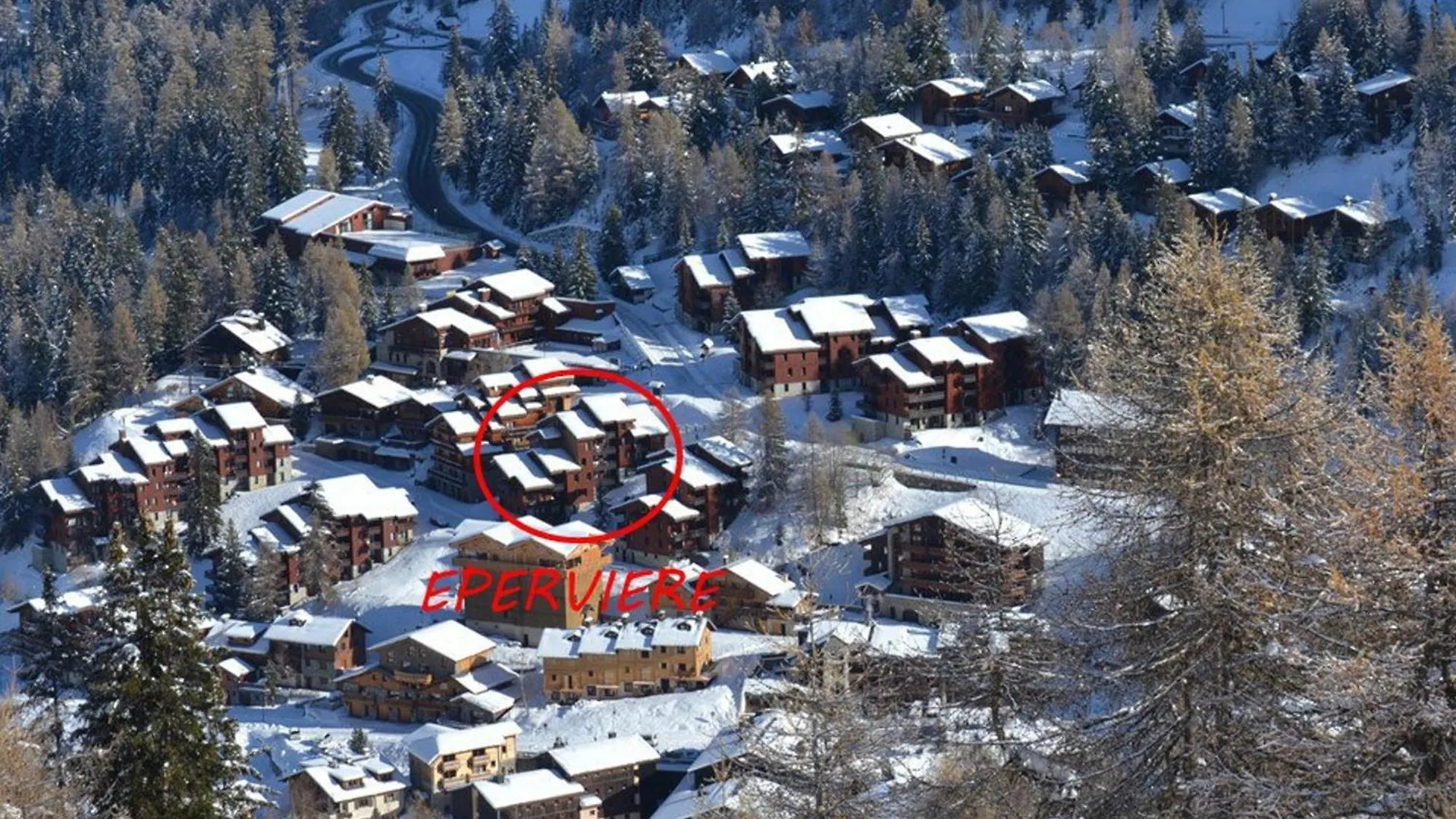 Apartment Charmant Appartement 2 Pieces Proche Commerces Avec Piscine - Fr-1-455-219 La Plagne-Tarentaise